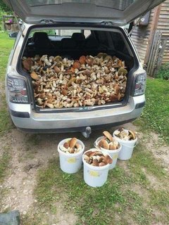 IMG_20170919_013454.jpg