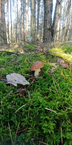 20170919_084934.jpg