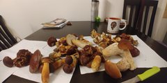 20170919_135259.jpg