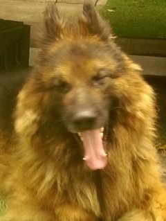 IMAG0126_1.jpg
