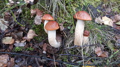 20170921_135209.jpg