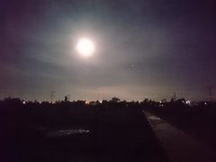 DSC_0073.JPG