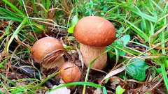 20170920_134910.jpg