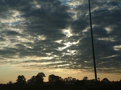DSC_0698.JPG