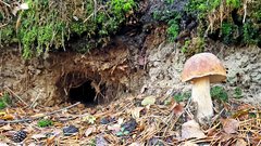20170916_180230.jpg