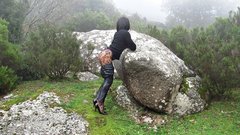 IMG_3020.JPG