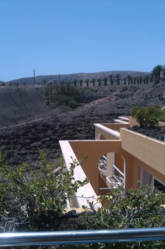 IMAG0118.jpg