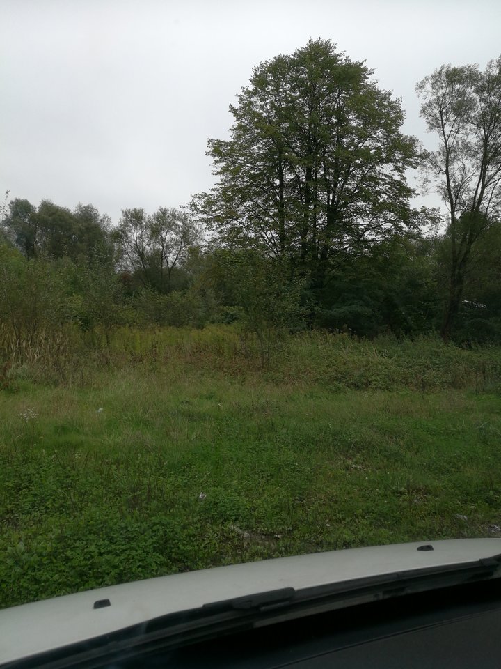 1506416716467232608720.jpg - mlody2515