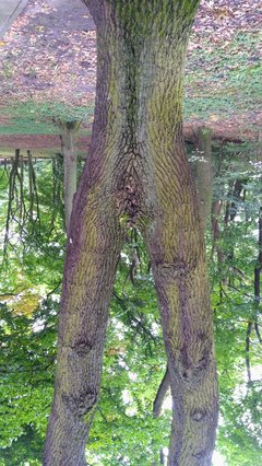 IMG_20170923_143533~2.jpg