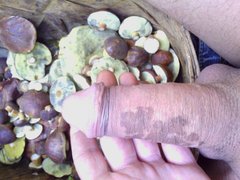 IMG_20170927_112017.jpg