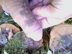 IMG_20170927_111944.jpg