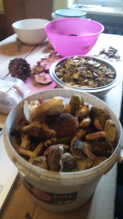 20170929_141616.jpg