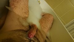 DSC_0191.JPG
