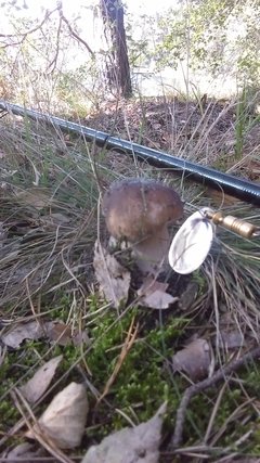 IMAG0140.jpg