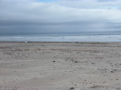 SAM_1022.JPG