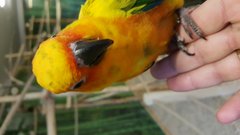 20170919_160129.jpg