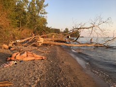 Dzika plaża na Wyspach Toronto