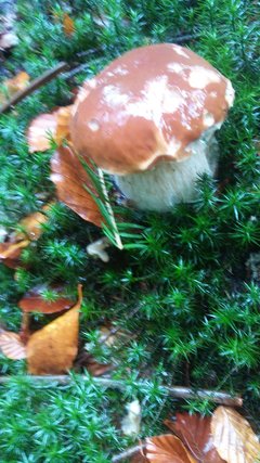 20171007_102503.jpg