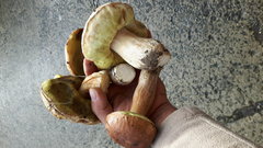 20171007_155604.jpg