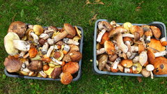 20171007_154116.jpg