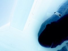 20171008_080043.jpg