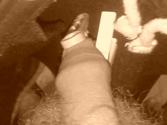 20171009_063046.jpg