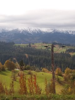 20171010_105308.jpg