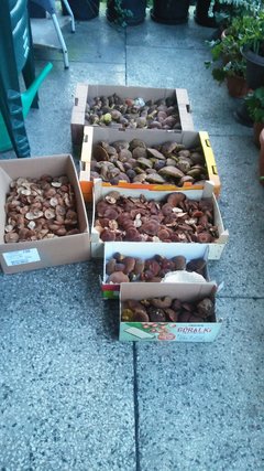20171011_180515.jpg