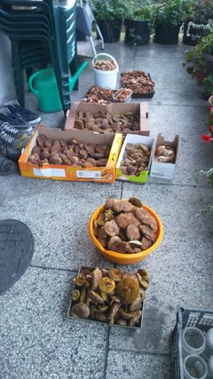 20171012_174343.jpg