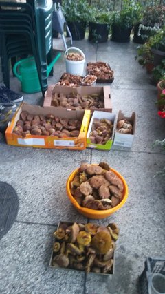 20171012_174630.jpg
