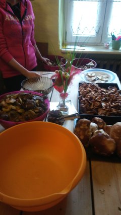 20171007_150258.jpg