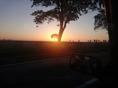 DSC_0529.JPG