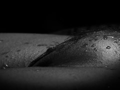 IMG_4280.jpg