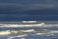 DSC08199.JPG