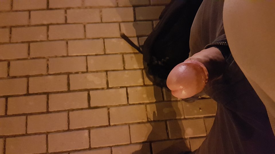 1507918065311144645414.jpg - Carolpoznan