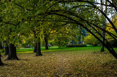 Park Ratuszowy w Nowej Hucie