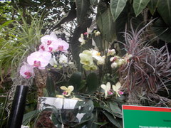 DSCN0999.JPG