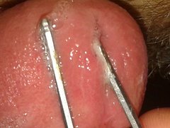 20171015_234159.jpg