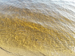20171017_130710.jpg