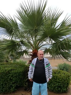 IMG_20171008_103533.jpg