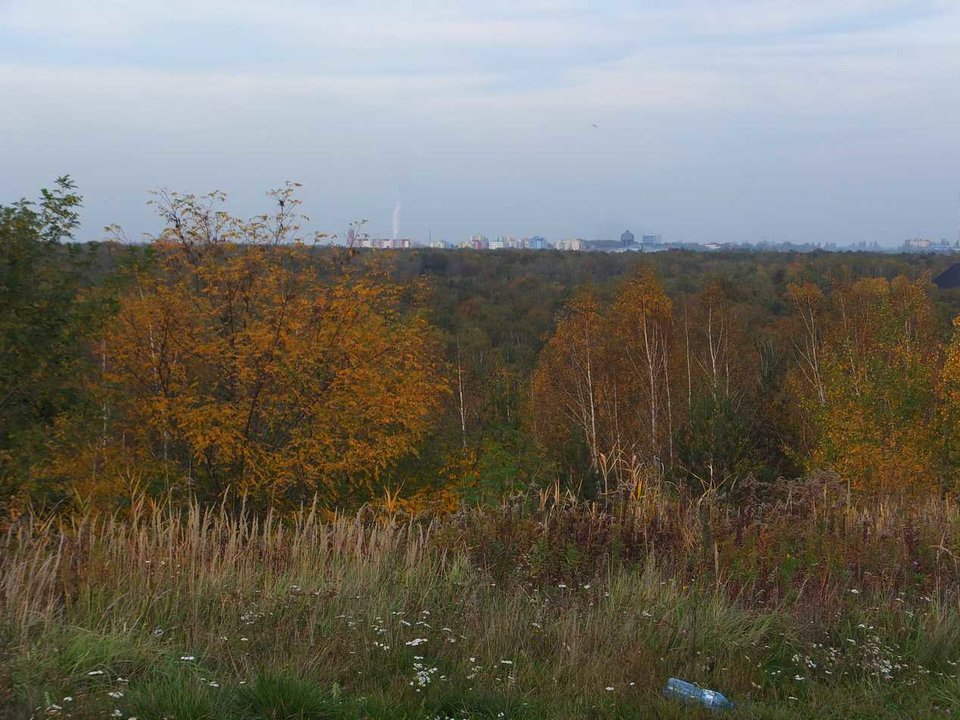 DSCF6797.JPG - olo_sl