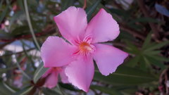20160819_194935.jpg