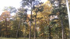 IMAG0718.jpg