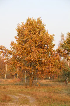 Piękne kolory
