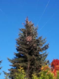 20171016_102020.jpg