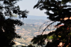 Cel