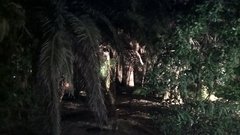 WP_20171020_21_49_21_Pro.jpg