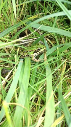 IMG_20170910_115407.jpg