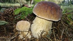 IMG_20170827_134305.jpg