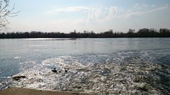DSC_0207.JPG